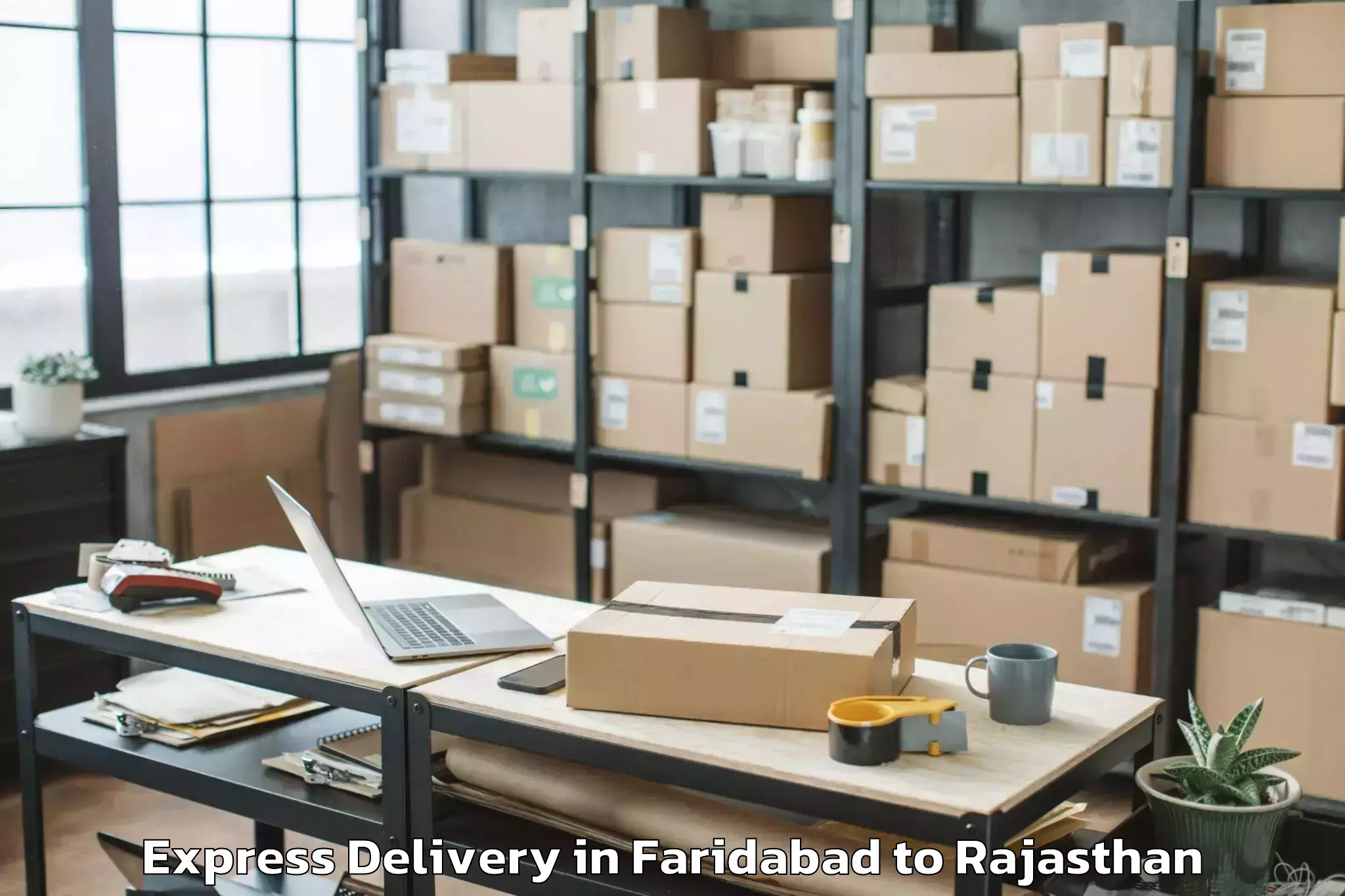 Professional Faridabad to Kumbhalgarh Express Delivery